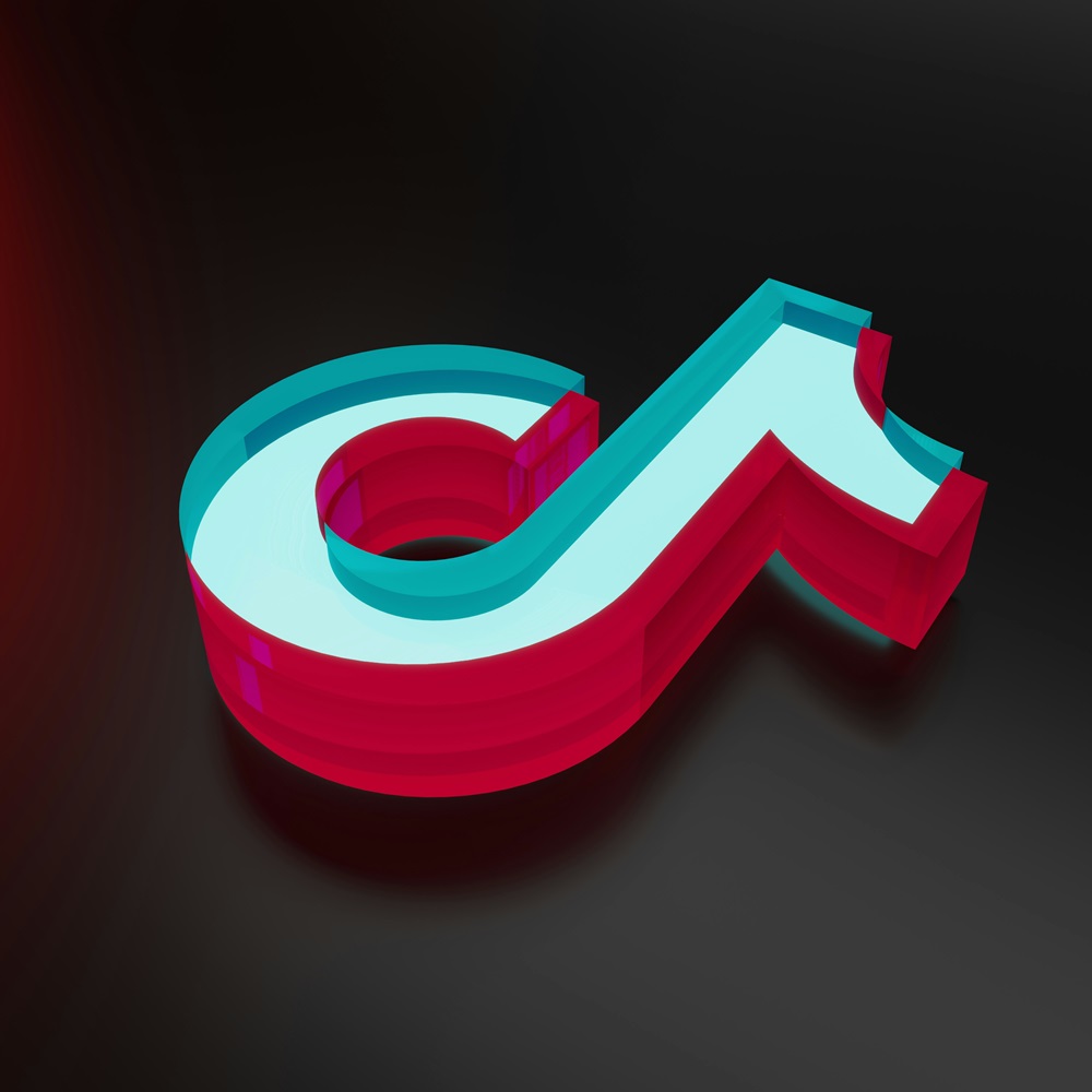 TikTok Icon